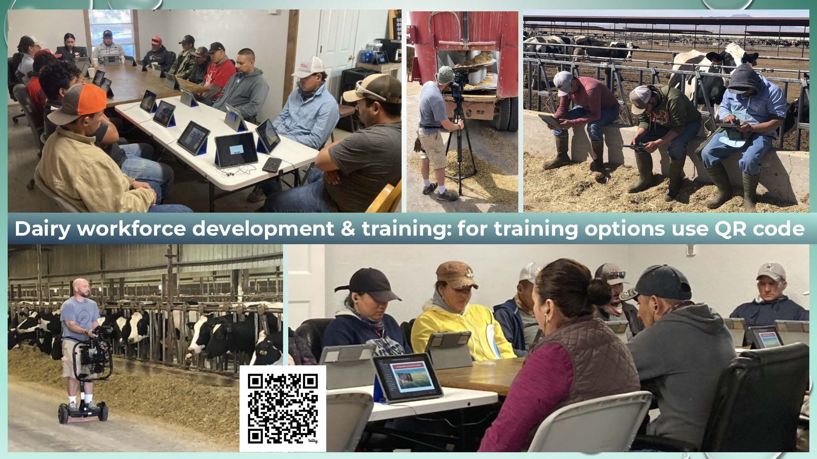 Dairy workforce development & training: for training options use QR code